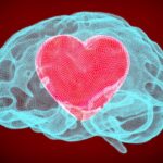DO YOU LEAD FROM YOUR HEAD OR YOUR HEART IN BUSINESS
