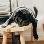 Qualified but uninspired?  I know you can do it, but do you want to?